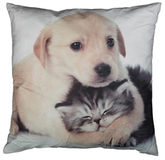 Pyntepude Hund og kat